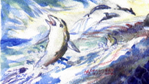 DolPHINS shOW tHE WAy