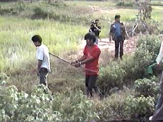 kill102.JPG (17520 bytes)