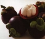 mangosteen