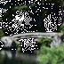 Kenrokuen