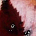 Kenrokuen