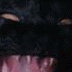 Myuu the demon kitten