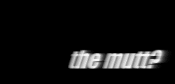 what's with the mutt?