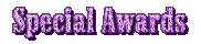Special Awards