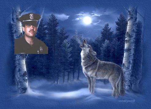 Wolf