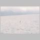 Humpback Whale