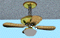 Link to Fan.jpg -- 35kb