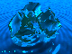 Link to Coolblue.jpg -- 55 kb