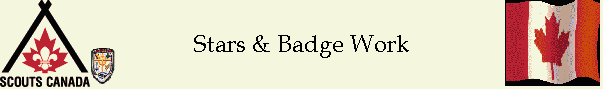 Stars & Badge Work