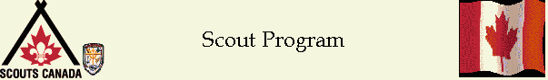 Scout Program