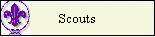 Scouts