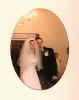 wedding1.jpg (14575 bytes)