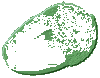 Acorn