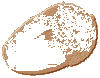 Acorn