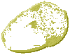 Acorn