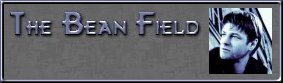 the bean field
