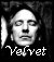 velvet