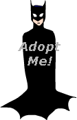 Batman-- Bruce Wayne