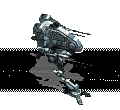 Vulture on the Hunt