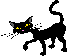 cat1.gif 1.6 K