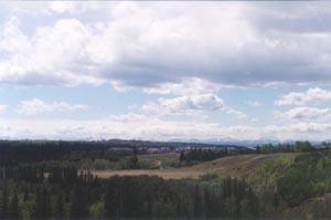 Fish Creek in late May