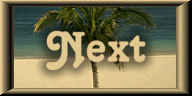 Beach Next Button