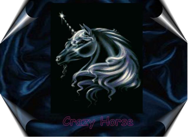 /user/CrazyHorse.JPG