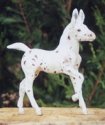 Classic Andalusian foal to Leopard Appy Mule