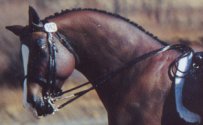 English double bridle