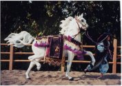 CM Huck in Arab costume by Suz and Candy