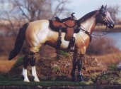 Matinee Idol in a western performance picture by Neon Moon