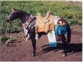 Native American Costume