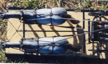 Team harness, close-up