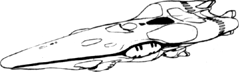 A FACTORY-FRESH TOU REDIR-CLASS (HUMAN DESIGNATION SALAN SCOUT).