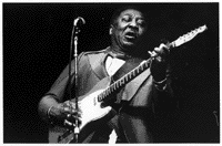 Muddy Waters