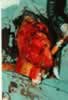 gunshot 2