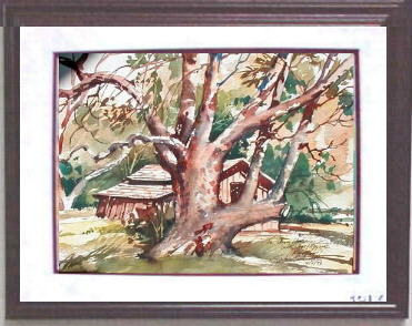 Private Collection, Corning, California