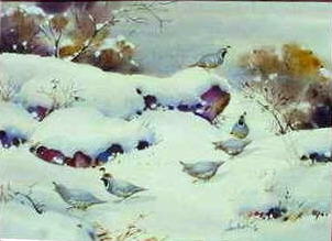 Private Collection,California