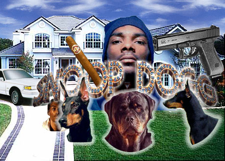 Snoop World