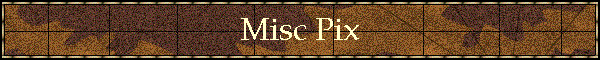 Misc Pix