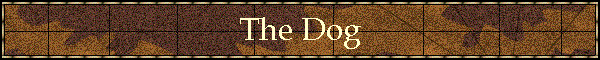 The Dog