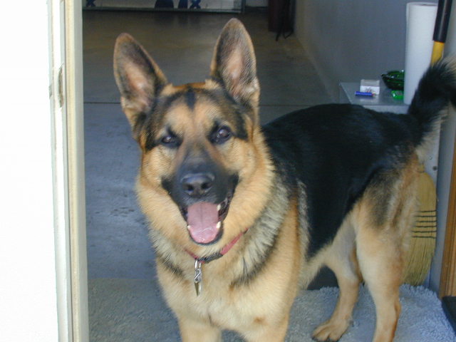 Baron