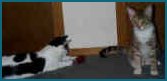 We love playing