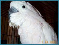 What you looking at???