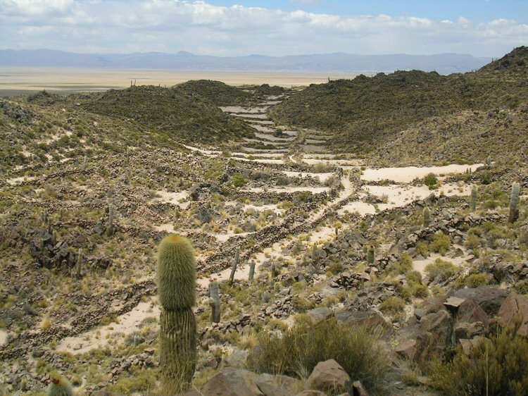 middle canal north