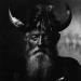 Meet the Viking!