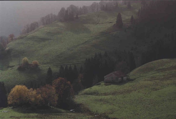 photo by Vigneron