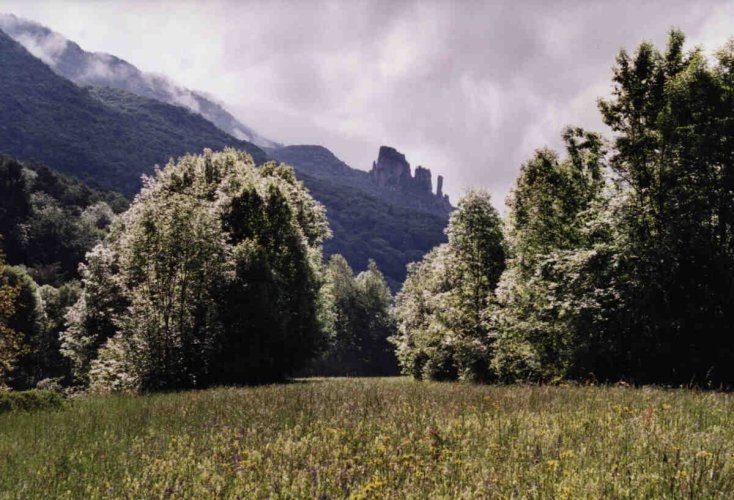 St Jacque towers