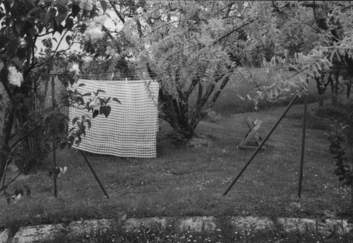 still garden