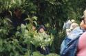 Giverny